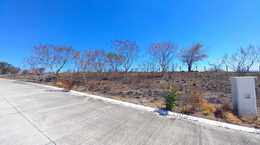 Plano lotes disponibles La Loma Morelos